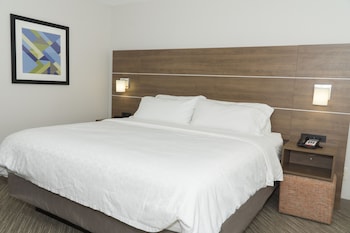 Suite, 1 King Bed