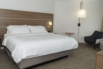 Suite, 1 King Bed