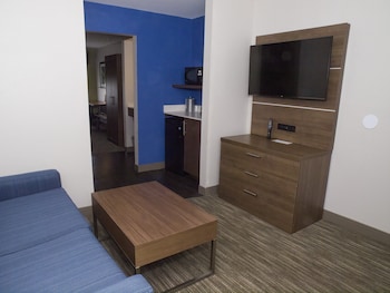 Suite, 1 King Bed with Sofa bed
