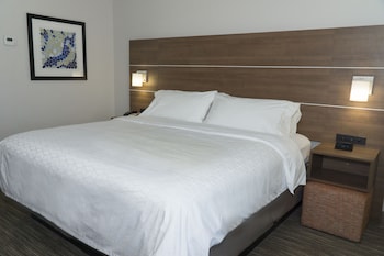 Suite, 1 King Bed with Sofa bed