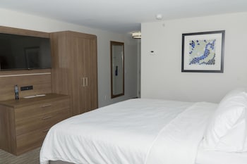Suite, 1 King Bed