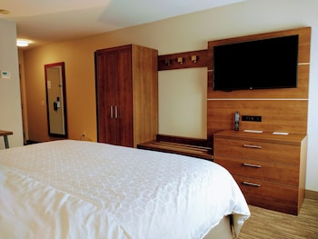 Room, 1 King Bed, Accessible (Communications, Roll-In Shower)