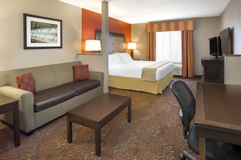 Standard Room, 1 King Bed with Sofa bed