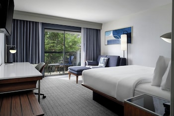 Room, 1 King Bed with Sofa bed (Mobility Accessible, Roll-In Shower)
