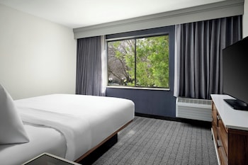 Room, 1 King Bed with Sofa bed (Mobility Accessible, Transfer Shower)