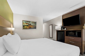 Standard Room, 1 King Bed, Accessible, Refrigerator & Microwave