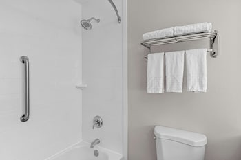 Standard Room, 1 King Bed, Non Smoking, Refrigerator & Microwave (Pet Friendly)
