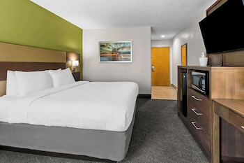 Standard Room, 1 King Bed, Non Smoking, Refrigerator & Microwave (Pet Friendly)