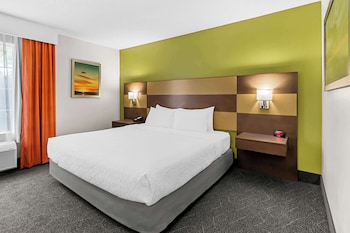 Standard Room, 1 King Bed, Accessible, Refrigerator & Microwave