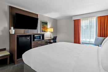 Standard Room, 1 King Bed, Non Smoking, Refrigerator & Microwave (Pet Friendly)