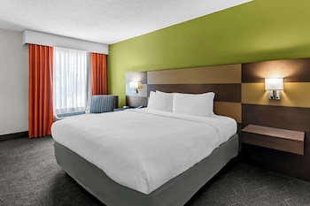 Standard Room, 1 King Bed, Non Smoking, Refrigerator & Microwave (Pet Friendly)