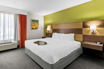 Standard Room, 1 King Bed, Non Smoking, Refrigerator & Microwave