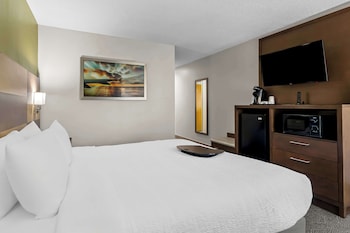 Standard Room, 1 King Bed, Non Smoking, Refrigerator & Microwave