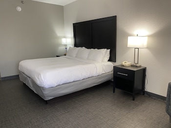 Standard Room, 1 King Bed, Non Smoking