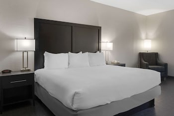 Standard Room, 1 King Bed, Non Smoking