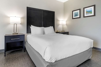Basic Room, 1 Queen Bed, Accessible, Non Smoking