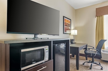 Suite, 1 King Bed, Non Smoking, Refrigerator & Microwave (with Single Sofabed)