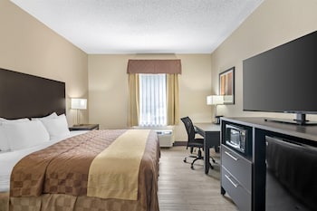 Standard Room, 1 King Bed, Accessible, Bathtub (Pet Friendly)