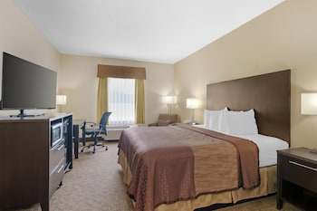 Suite, 1 King Bed, Non Smoking, Refrigerator & Microwave (with Single Sofabed)