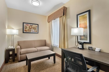 Suite, 1 King Bed, Non Smoking, Refrigerator & Microwave (with Single Sofabed)