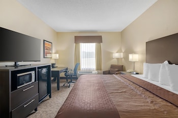 Suite, 1 King Bed, Non Smoking, Refrigerator & Microwave (with Single Sofabed)