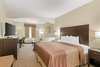 Suite, 1 King Bed, Non Smoking, Refrigerator & Microwave (with Single Sofabed)