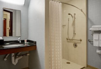 Room, 1 King Bed, Accessible (Shower)