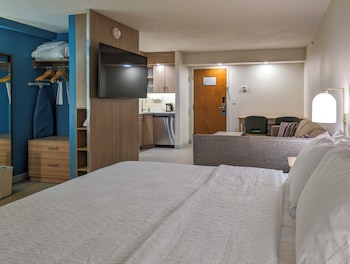 Studio Suite, 1 King Bed