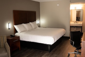Standard Room, 1 King Bed, Non Smoking