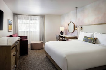 Suite, 1 King Bed with Sofa bed
