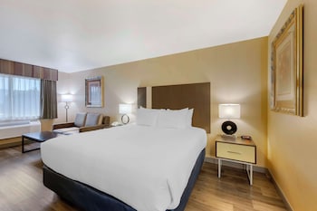 Standard Room, 1 King Bed, Non Smoking, Refrigerator & Microwave