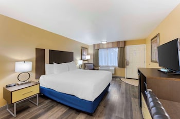 Standard Room, 1 King Bed, Non Smoking, Refrigerator & Microwave (Pet Friendly)