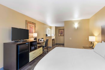 Standard Room, 1 King Bed, Accessible, Bathtub (Bathtub )