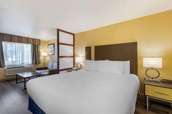 Junior Suite, 1 King Bed, Non Smoking, Refrigerator & Microwave