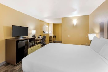 Standard Room, 1 King Bed, Non Smoking, Refrigerator & Microwave (Pet Friendly)