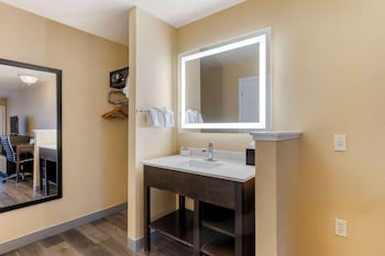 Standard Room, 1 King Bed, Non Smoking, Refrigerator & Microwave