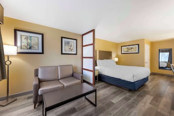 Junior Suite, 1 King Bed, Non Smoking, Refrigerator & Microwave