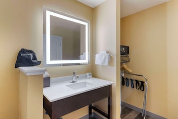 Standard Room, 1 King Bed, Non Smoking, Refrigerator & Microwave (Pet Friendly)
