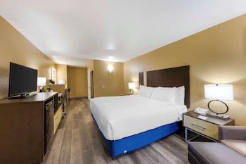 Standard Room, 1 King Bed, Non Smoking, Refrigerator & Microwave (Pet Friendly)