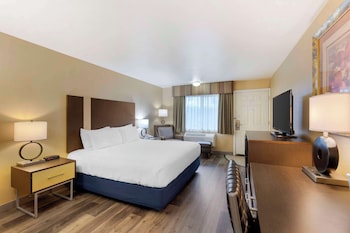 Standard Room, 1 King Bed, Accessible, Bathtub (Bathtub )