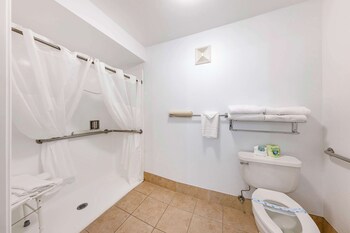 Standard Room, 1 King Bed, Accessible, Non Smoking (Pet Friendly)