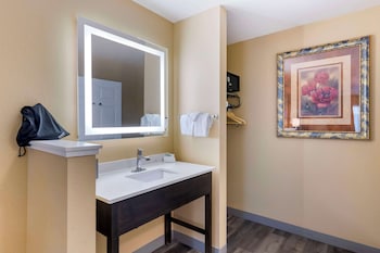 Standard Room, 1 King Bed, Accessible, Bathtub (Bathtub )