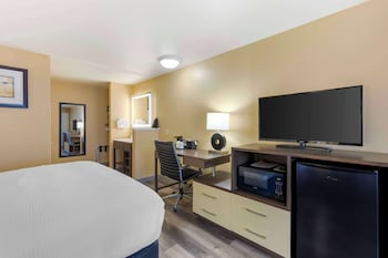 Junior Suite, 1 King Bed, Non Smoking, Refrigerator & Microwave