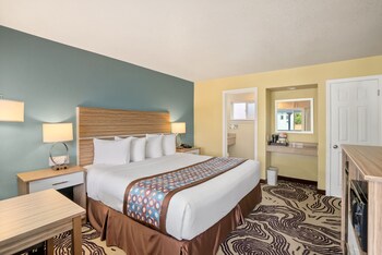 Room, 1 King Bed