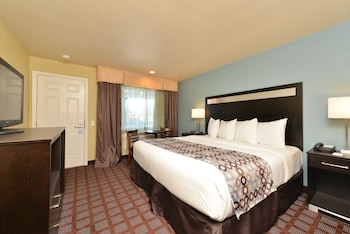 Room, 1 King Bed