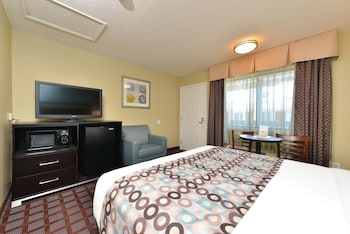 Room, 1 King Bed