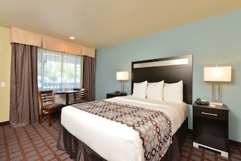 Room, 1 King Bed