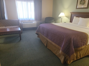Deluxe Suite, 1 King Bed with Sofa bed