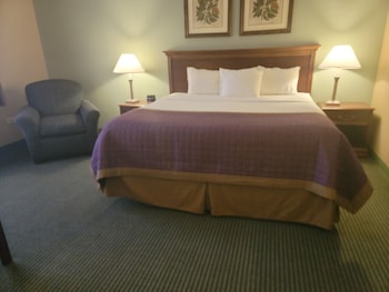Deluxe Suite, 1 King Bed with Sofa bed