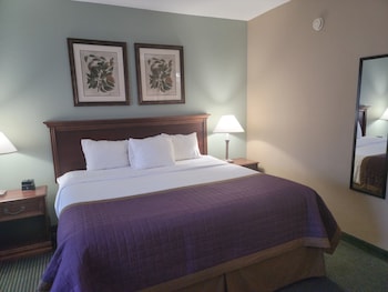 Deluxe Suite, 1 King Bed with Sofa bed